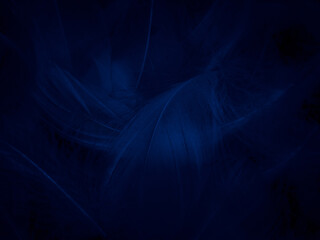 Beautiful abstract blue feathers on white background, white feather texture and blue background, feather wallpaper, blue texture banners, love theme, valentines day , gray gradient