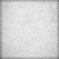 White plywood texture with natural wood pattern; White plywood texture for background