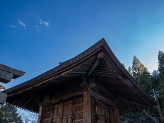 Fototapeta na wymiar 神社を見上げる