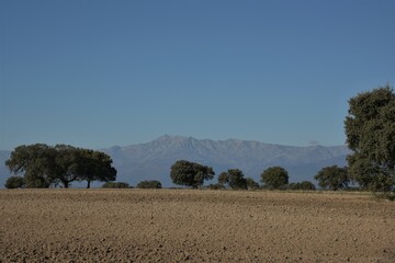 Late autumn panoramic view of freshly ploughed fertile brown farmland interspersed by oak tree dehesa from Torralba de Oropesa village, central Spain, the Sierra de Gredos hill range in the back