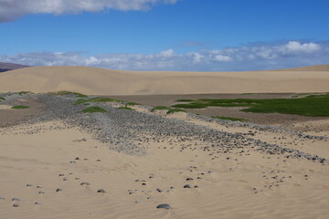 Dünen und Kies in Maspalomas auf Gran Canaria