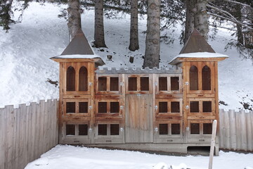 Clapier extérieur pour lapins