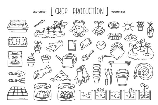 Vector hand drawn set on the theme of crop production, agriculture, farming, gardening, planting. Isolated doodles, line icons for use in design