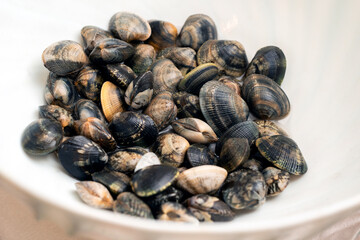 Mucchio di vongole veraci fresche, cibo mediterraneo