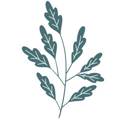 Leaf branch vecor, leaf vector, branch leaves