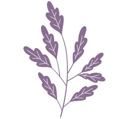 Leaf branch vecor, leaf vector, branch leaves