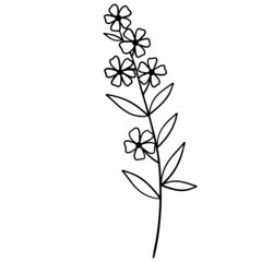 Flower vector, floral vector illustration, flower line art