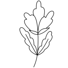 Flower vector, floral vector illustration, flower line art