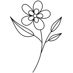 Flower vector, floral vector illustration, flower line art