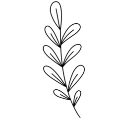Leaf vector, leaf illustration, plant vector