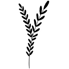 Leaf vector, leaf illustration, plant vector