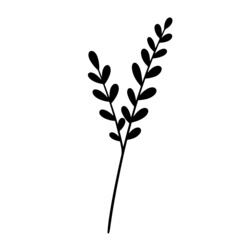 Leaf vector, leaf illustration, plant vector