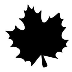 Fototapeta premium Fall leaf, autumn leaf, leaf illustration, leaf silhouette