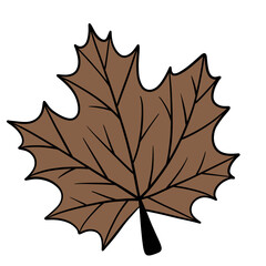 Fall leaf, autumn leaf, leaf illustration, maple leaf