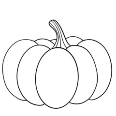 Fall pumpkin, halloween pumpkin, pumpkin vector illustration