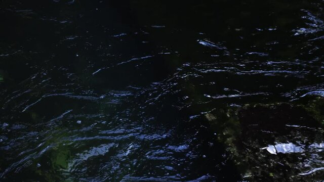 Gros plan de rivi&egrave;re qui coule dans un endroit sombre, avec les reflets.