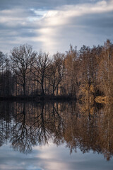 Fototapeta na wymiar Trees reflection in the lake