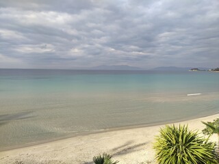 Tropical Summer Background
