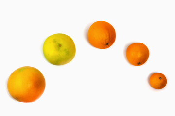 Group of citrus fruits laid out on a white background. On a white background, orange, grapefruit and tangerine are arranged in order. Isolated