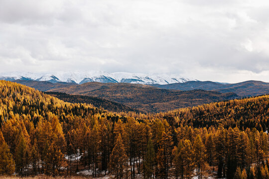 Mountain landscapes with beautiful views of rocks and peaks in Altai