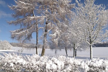 Winterlandschaft