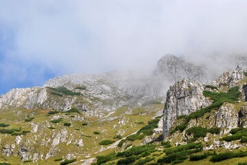 Beautiful mountain landscape. A trail leading through the Tatra National Park.