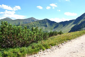 Obraz premium Beautiful mountain landscape. A trail leading through the Tatra National Park.