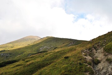 Beautiful mountain landscape. A trail leading through the Tatra National Park.