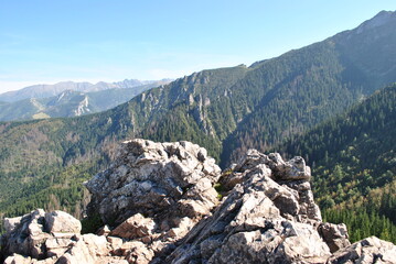 Beautiful mountain landscape. A trail leading through the Tatra National Park.