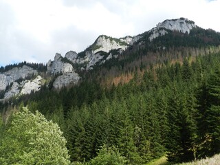 Beautiful mountain landscape. A trail leading through the Tatra National Park.