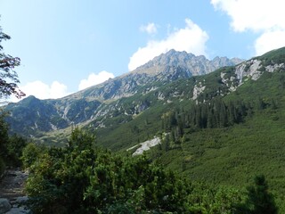 Obraz na płótnie Canvas Beautiful mountain landscape. A trail leading through the Tatra National Park.