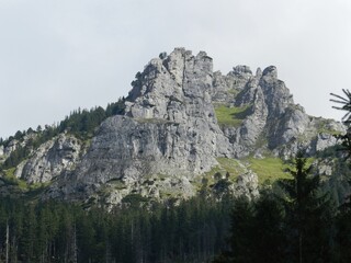 Beautiful mountain landscape. A trail leading through the Tatra National Park.