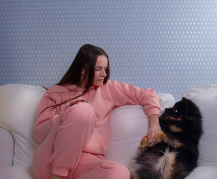 Английский

devushka v rozovom kostyume s chernoy sobakoy sidit na belom divani

a girl in a pink suit with a black dog sits on a white sofa