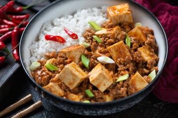 Bowl of chinese traditional mapo tofu with rice, closeup, selective focus, horizontal shot