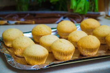 Cool freshly baked vanilla muffins on a metal sheet.