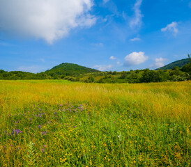 green mountain valley with grass