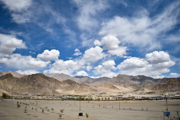 Nature photography at Ladakh, India