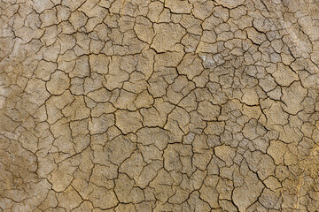 Cracks in the soil because of heat and global warming and climate change