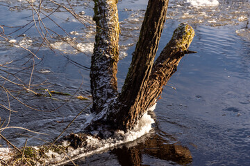 Zimowy spacer po Supraślu, Podlasie, Polska