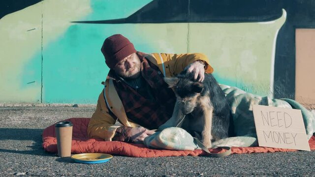A beggar and his dog are lying on the ground near a graffiti wall
