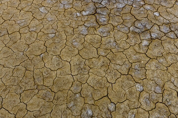 Cracks in the soil because of heat and global warming and climate change