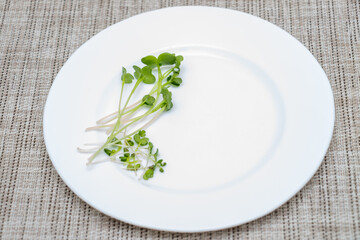 White plate with microgreen sprouts on the dining table. Green sprouts of radish and mustard, close-up with selective focus, copy space. Healthy food concept