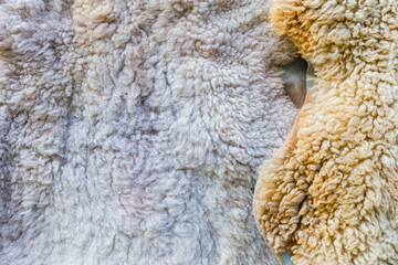 Sheep skins hanging on the wall in the village