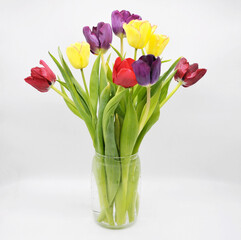 tulips in vase