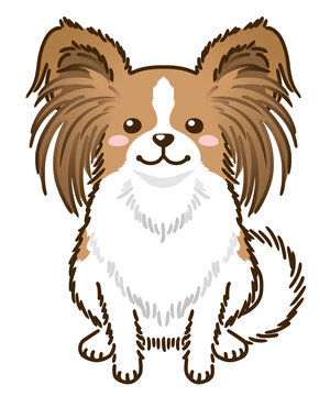 パピヨン」の写真素材 | 73,527件の無料イラスト画像 | Adobe Stock