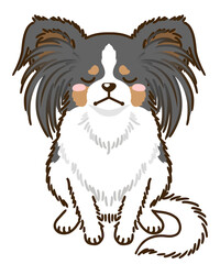 落ち込むパピヨン（トライカラー）