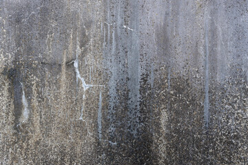 シミのある古いコンクリートの壁