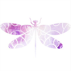 dragonfly flying watercolor silhouette, icon, isolated, vector