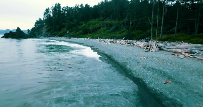 Aerial Growth Of Trees On Ruby Beach Against Clear Sky, Drone Flying Forward Over Sea