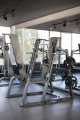 Fototapeta na wymiar Muscle trainers in the gym Stylish room